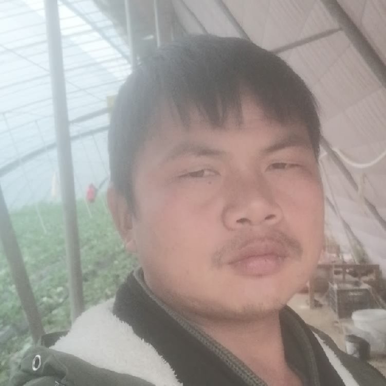 孤狼‘的第一张照片--襄阳相亲服务中心