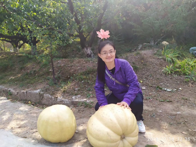 海绵宝宝的第一张照片--襄阳相亲服务中心