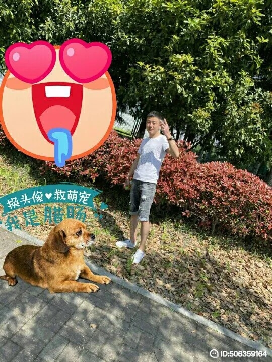 我若不坚强谁替我勇敢的第五张照片--襄阳相亲服务中心