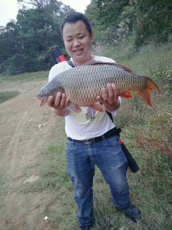 迷路的男人的第一张照片--襄阳相亲服务中心
