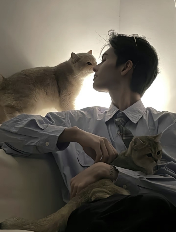 怪猫的第一张照片--襄阳相亲服务中心